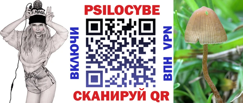shop какой сайт  Находка  Галлюциногенные грибы Psilocybe 